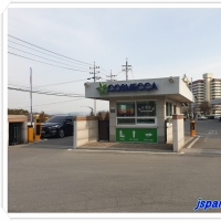 코스메카코리…